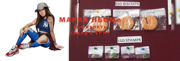 мет Алексин