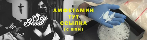 мет Алексин