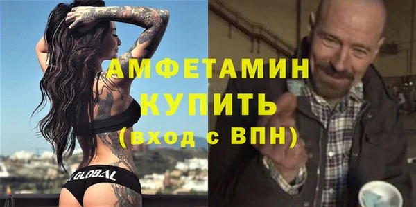 мет Алексин