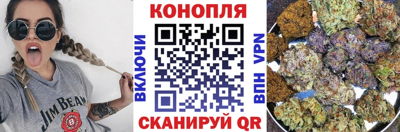Бошки марихуана гибрид Анива